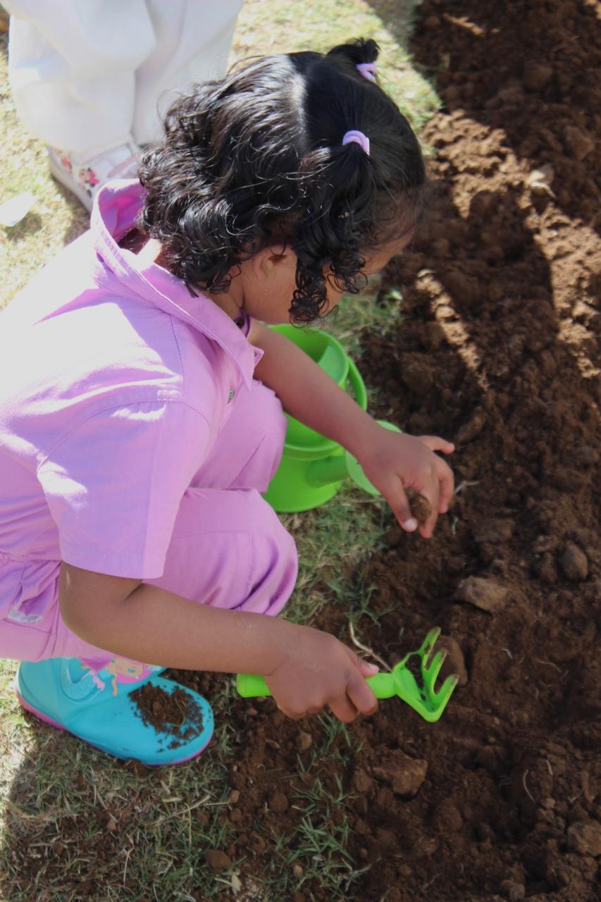 Discovering and learning together