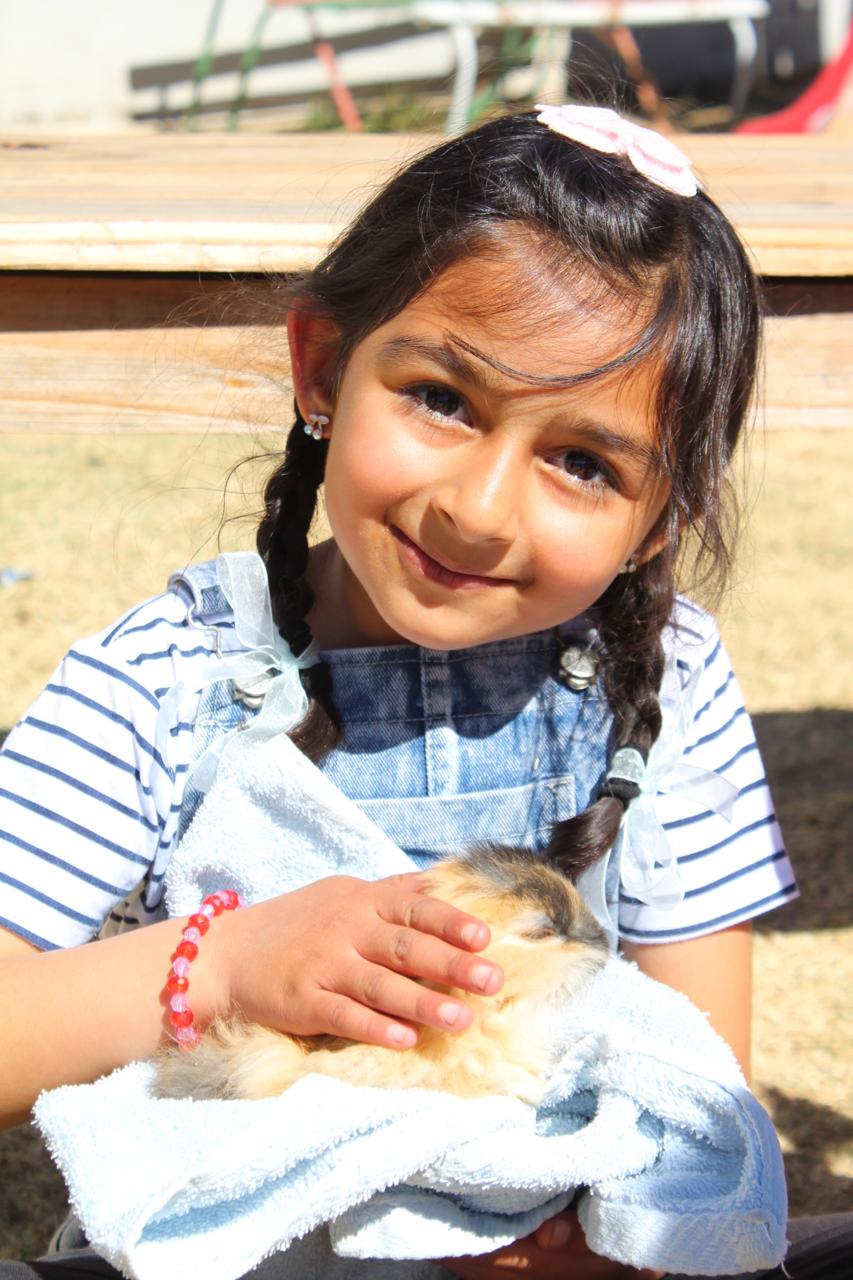 Children in classroom activities